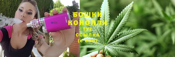 индика Богданович